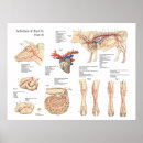 Recherche de blood posters Chart