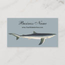 Recherche de requin cartes visite Animaux