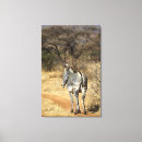 Recherche de kenya posters Vertical
