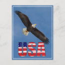 Recherche de aigle blanc cartes postales Drapeau