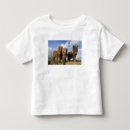 Recherche de poney shetland tshirts Gros plan