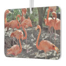 Recherche de flamants roses voiture accessoires Oiseaux