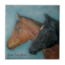 Recherche de poulain carreaux Équine