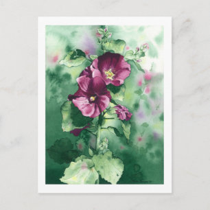 0007 Carte postale Hollyhocks de Dorothy