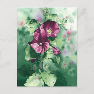 0007 Carte postale Hollyhocks de Dorothy