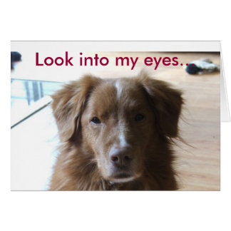 0029, regarde dans mes yeux...