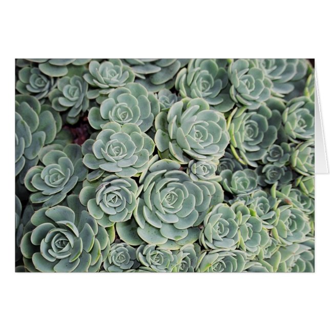 01760023 (Devant Horizontal)