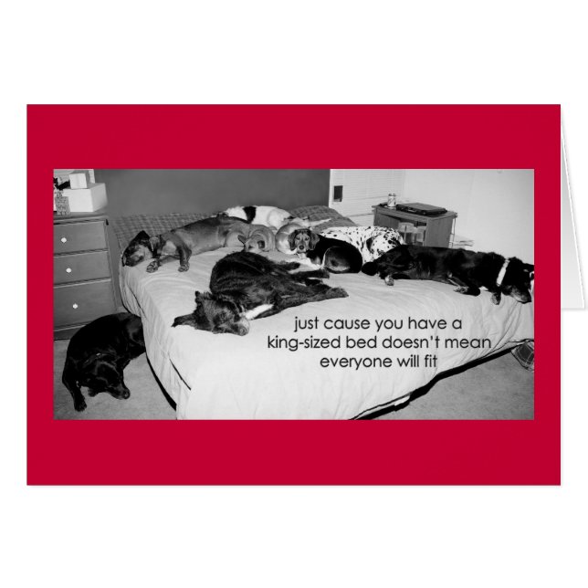 03 juste cause (Devant horizontal)