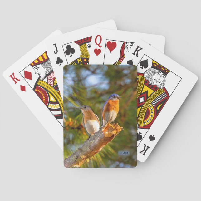 040 cartes de jeu de cour d'oiseau bleu (dos)