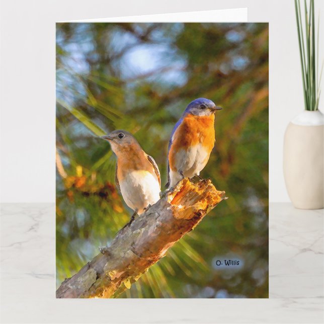 040 matte de la carte 8.5x11 de cour d'oiseau bleu (Devant)