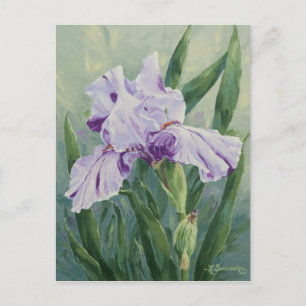 0440 Purple Streaked Iris Carte Postale