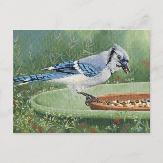 0481 Jay bleu à la carte postale d'alimentation (Devant)
