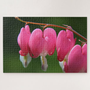 1000 pièces Bleeding Heart Jigsaw Puzzle