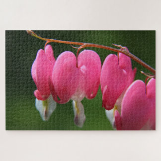 1000 pièces Bleeding Heart Jigsaw Puzzle