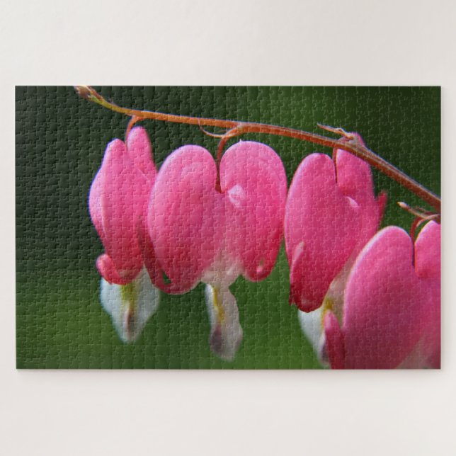 1000 pièces Bleeding Heart Jigsaw Puzzle (Horizontal)