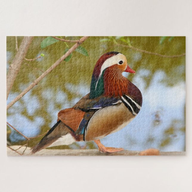 1000 pièces Canard de Mandarin Puzzle (Horizontal)