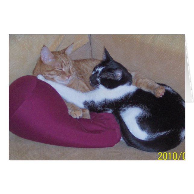 100_1102 (Devant horizontal)