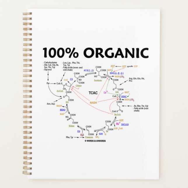 100% Cycle biologique Krebs Cycle Citrique Acide C (Devant)
