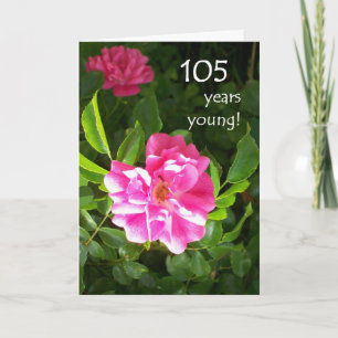 105e carte anniversaire - Roses roses roses
