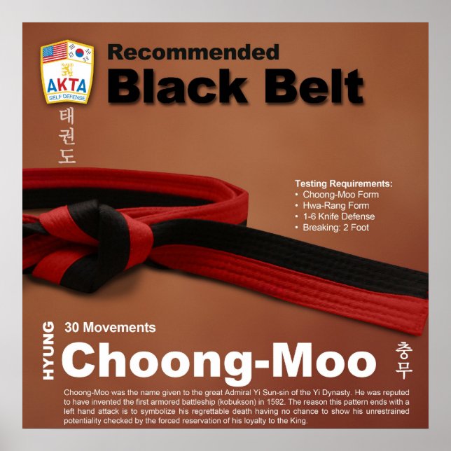 10-11 Poster recommandé Black Belt Do-jang (Devant)