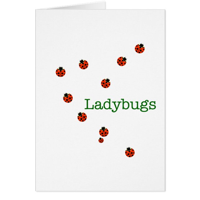 10 coccinelles (Devant)