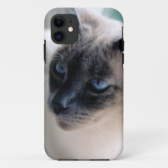 11 Aloof Siamese Chat Coque-Mate iPhone 5 Coque (Dos)