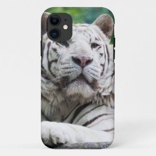 11 Coque iphone blanc de tigre