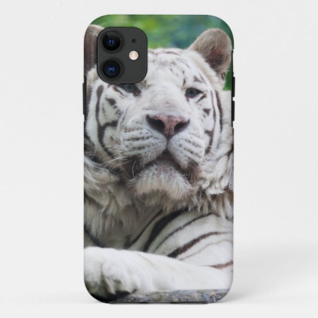 11 Coque iphone blanc de tigre (Dos)