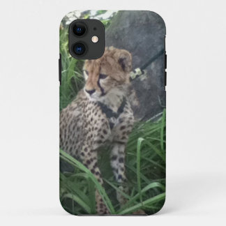 11 coque iphone de Cheetah