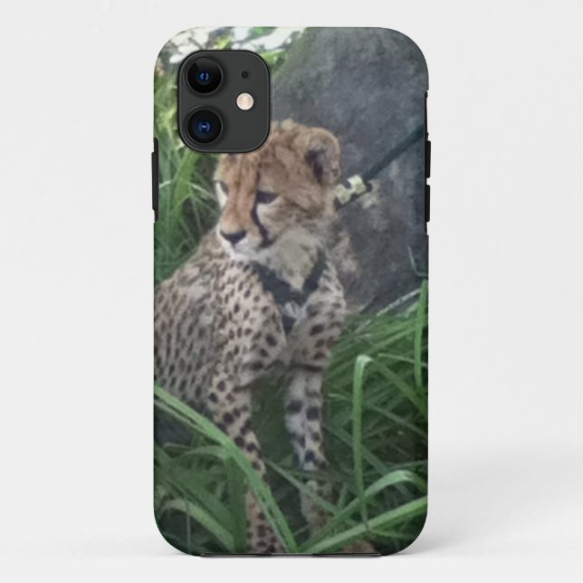 11 coque iphone de Cheetah (Dos)