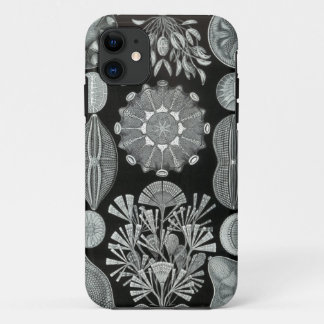11 Coque iphone de Haeckel - Diatomea