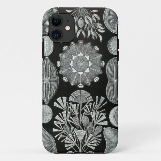 11 Coque iphone de Haeckel - Diatomea (Dos)