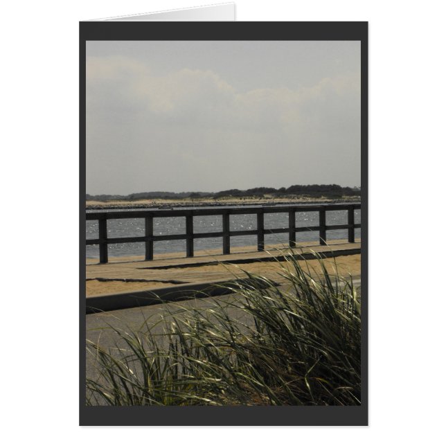 ~ 11 d'été (Devant)