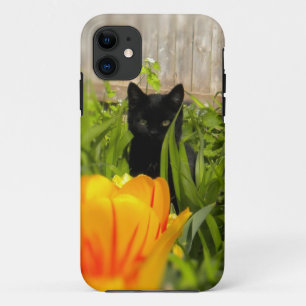 11 Kitten noir dans le jardin iPhone 5 Coque