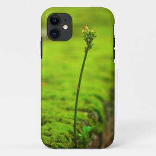 11 Nature verte - Nouveau coque iphone de vie