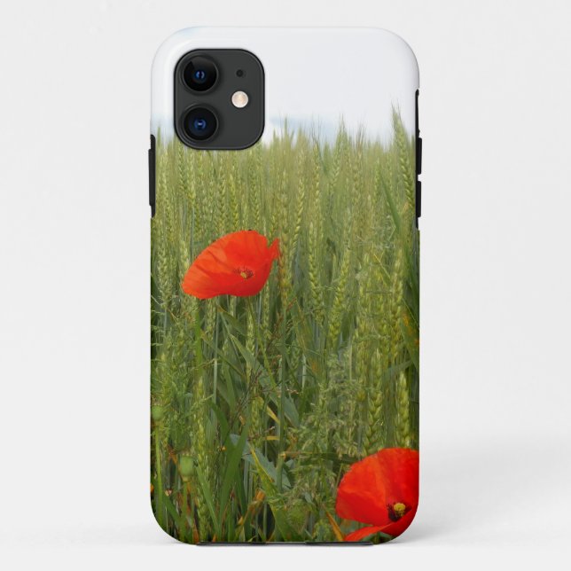 11 Pépites dans un champ de blé iPhone SE+5/5S Coque (Dos)