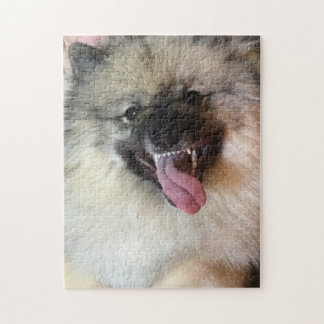 11" x 14" le puzzle 252 de Keeshond rapièce