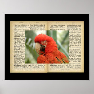 11" x 8,5", Poster (Oiseaux Et Textes Vintages)