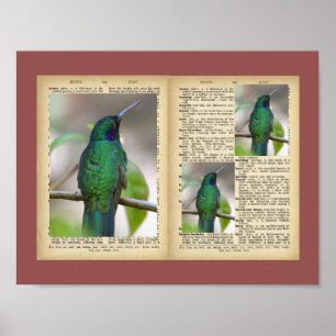 11" x 8,5", Poster (Oiseaux Et Textes Vintages)