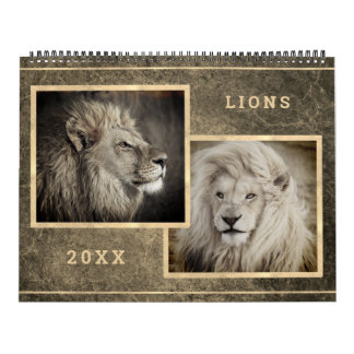 12 Beaux Lions Photos Calendrier