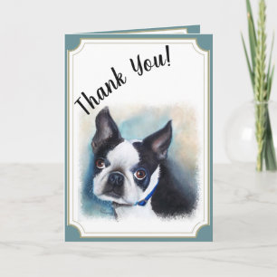 12 Boston Terrier MERCI