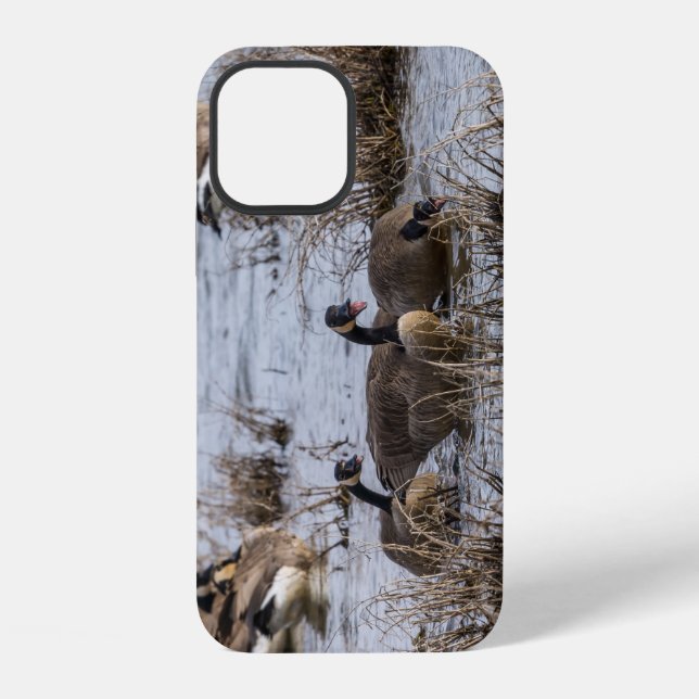12 Déplacement en coque iphone (Verso)