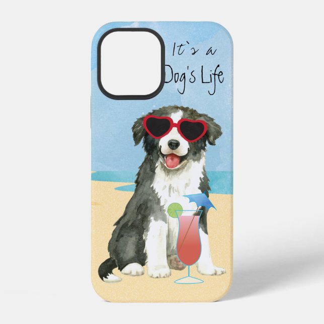 12 Frontière d'été Collie Coque-Mate coque iphone (Verso)