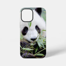 coque iphone Photo panda géant, animaux.
