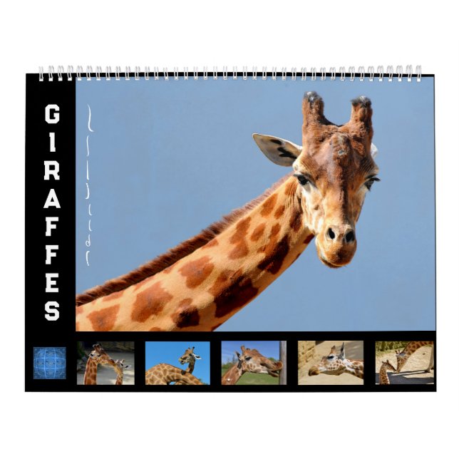 12 mois calendrier girafe (Protection)