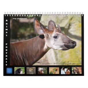 12 mois calendrier portraits d'animaux