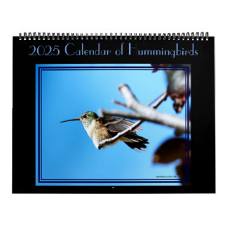 12 mois de calendrier des colibris.