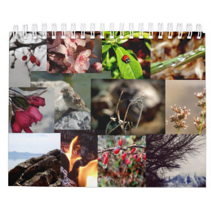 12 mois de calendrier néerlandais/néerlandais