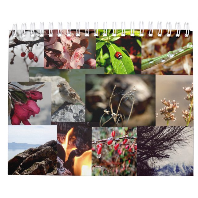 12 mois de calendrier néerlandais/néerlandais (Dos)