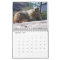 12 mois de marmottes adorables 2016 Calendrier